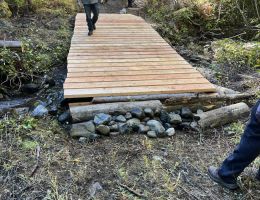 387583422 288191124151512 n